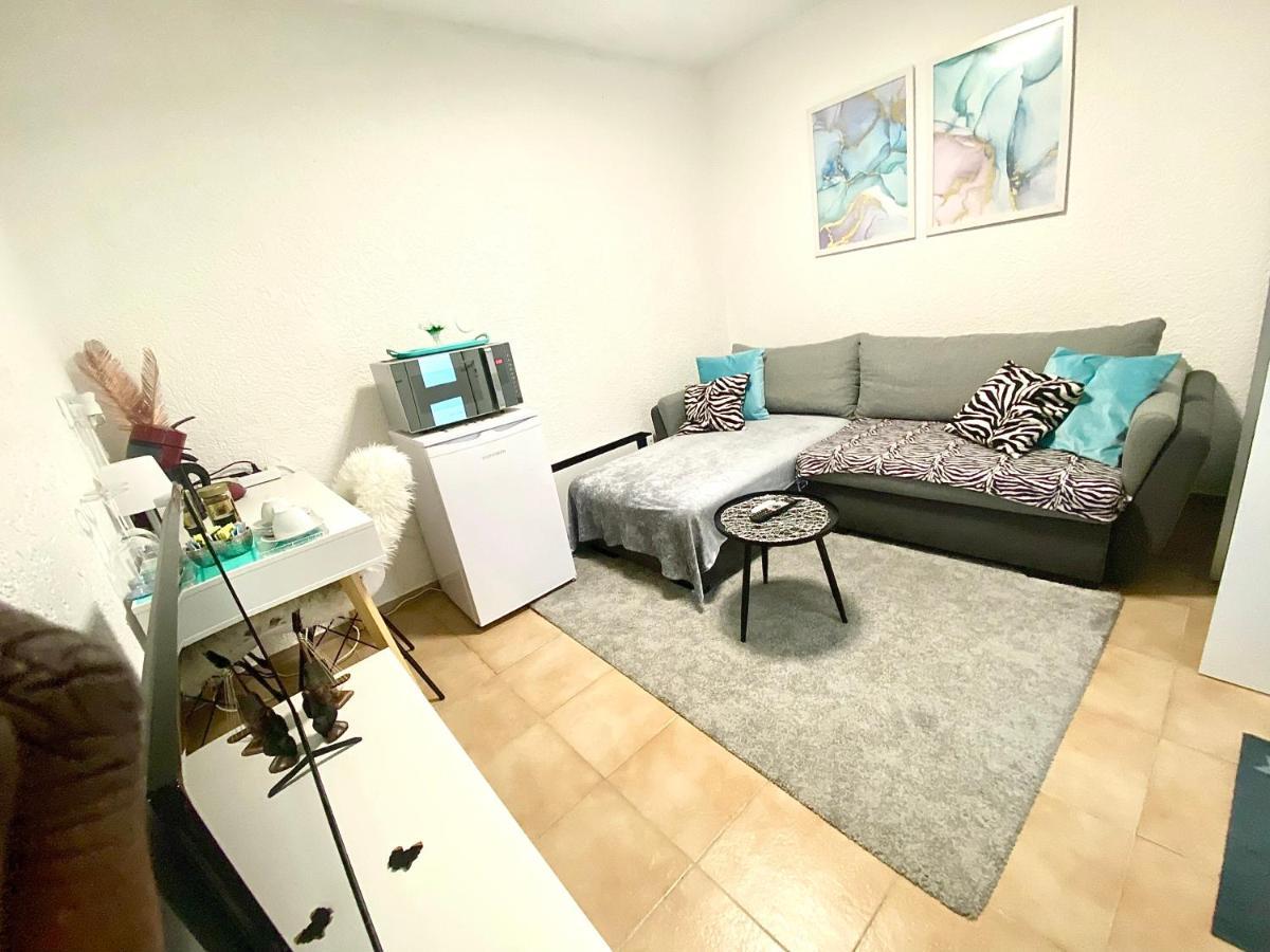 Top Apartment Saarbruecken City Ngoại thất bức ảnh